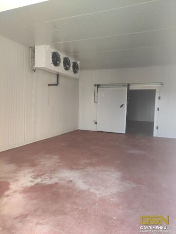 10-İZMİR DİKİLİ BAHÇELİ MAHALLESİNDE DENİZE 3. PARSEL 48.000 M2 İÇERİSİNDE KURULU 4000 BÜYÜKBAŞLIK RUHSATLI ÇİFTLİK